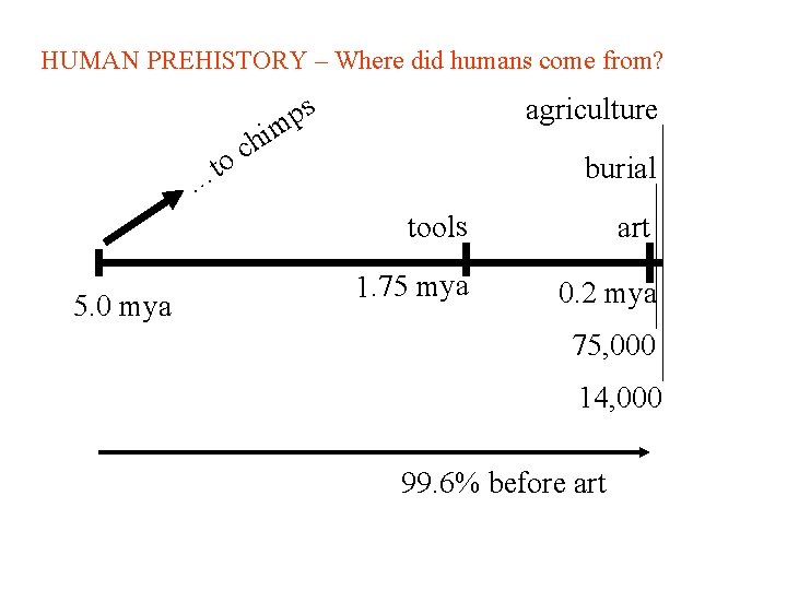 HUMAN PREHISTORY – Where did humans come from? to s p m agriculture i