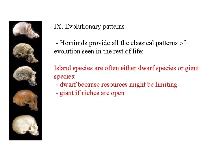 IX. Evolutionary patterns - Hominids provide all the classical patterns of evolution seen in