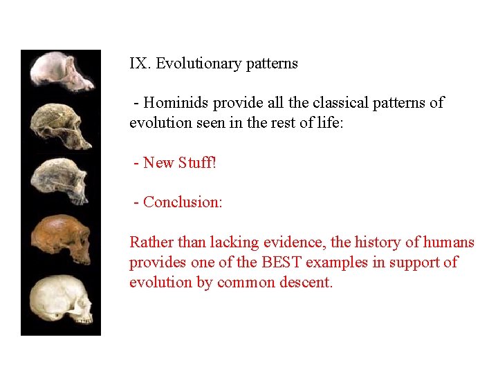 IX. Evolutionary patterns - Hominids provide all the classical patterns of evolution seen in