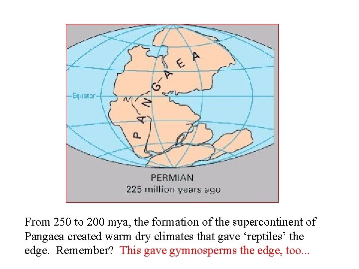 From 250 to 200 mya, the formation of the supercontinent of Pangaea created warm