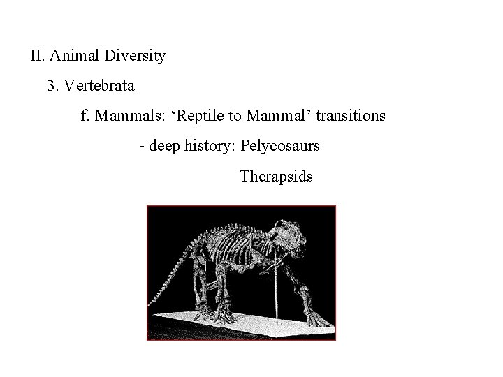 II. Animal Diversity 3. Vertebrata f. Mammals: ‘Reptile to Mammal’ transitions - deep history: