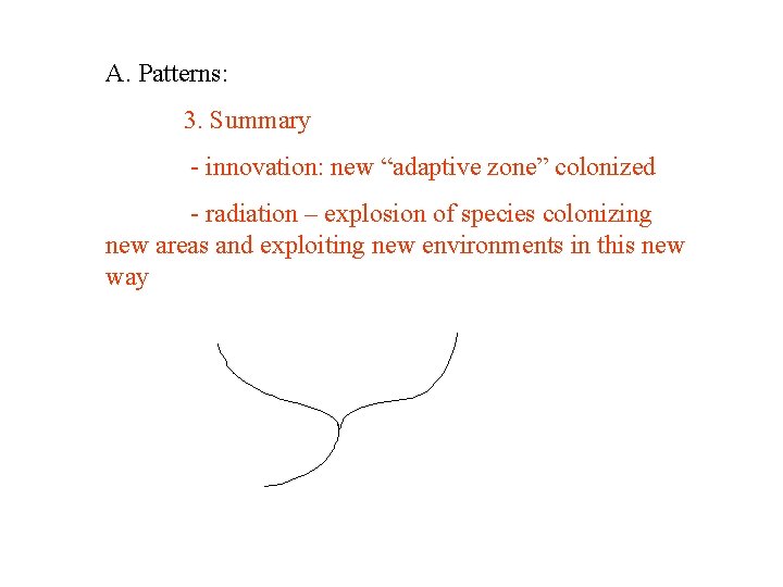 A. Patterns: 3. Summary - innovation: new “adaptive zone” colonized - radiation – explosion