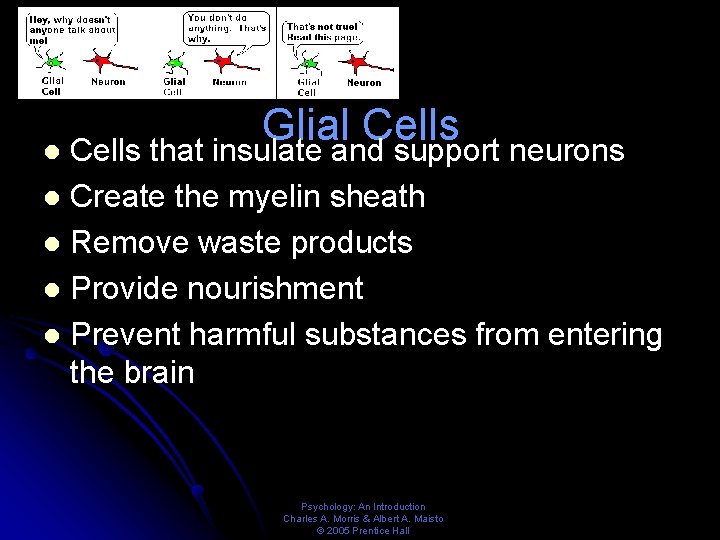 Glial Cells that insulate and support neurons Create the myelin sheath l Remove waste
