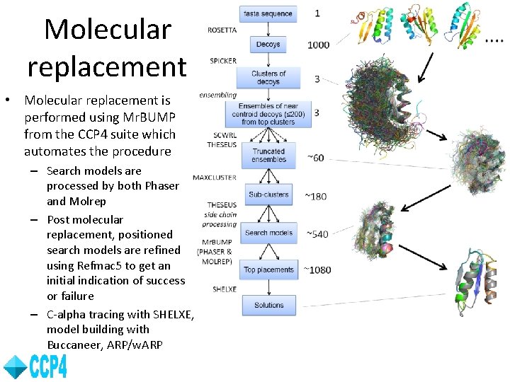Molecular replacement • Molecular replacement is performed using Mr. BUMP from the CCP 4