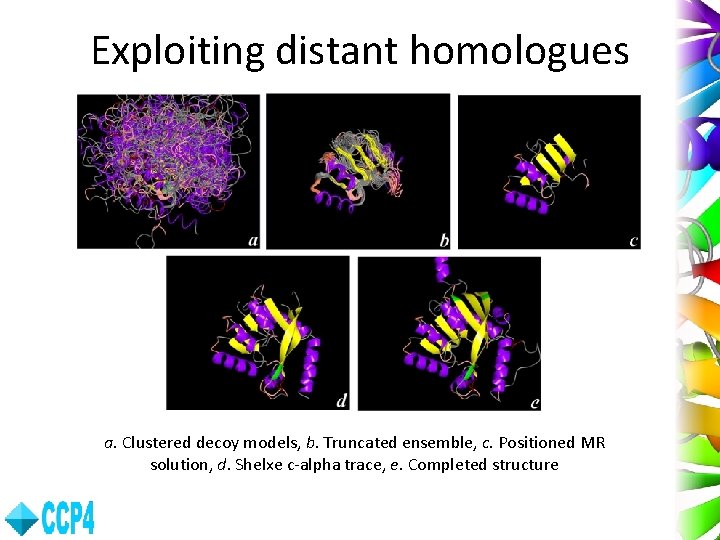 Exploiting distant homologues a. Clustered decoy models, b. Truncated ensemble, c. Positioned MR solution,