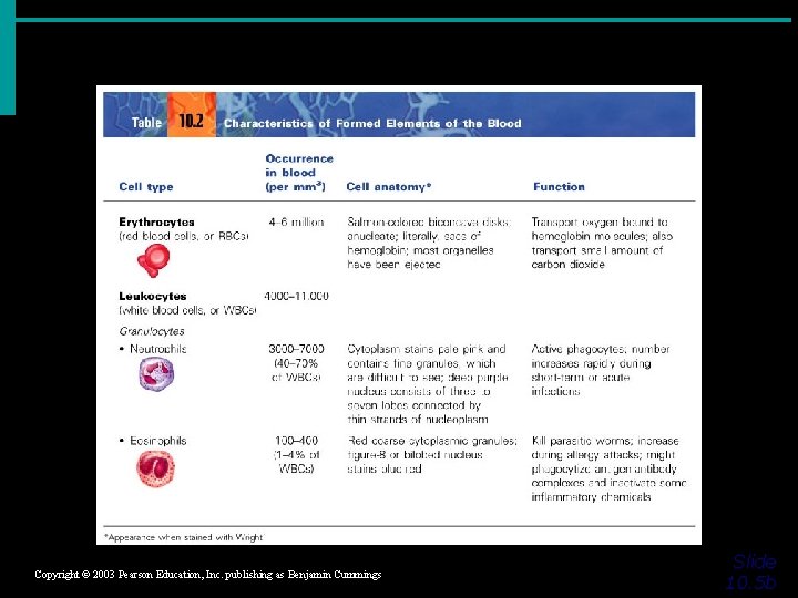 Copyright © 2003 Pearson Education, Inc. publishing as Benjamin Cummings Slide 10. 5 b