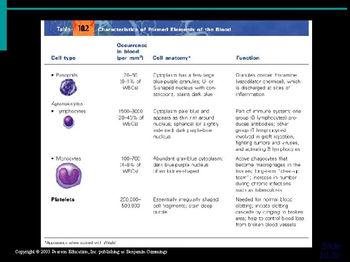 Copyright © 2003 Pearson Education, Inc. publishing as Benjamin Cummings Slide 10. 5 c