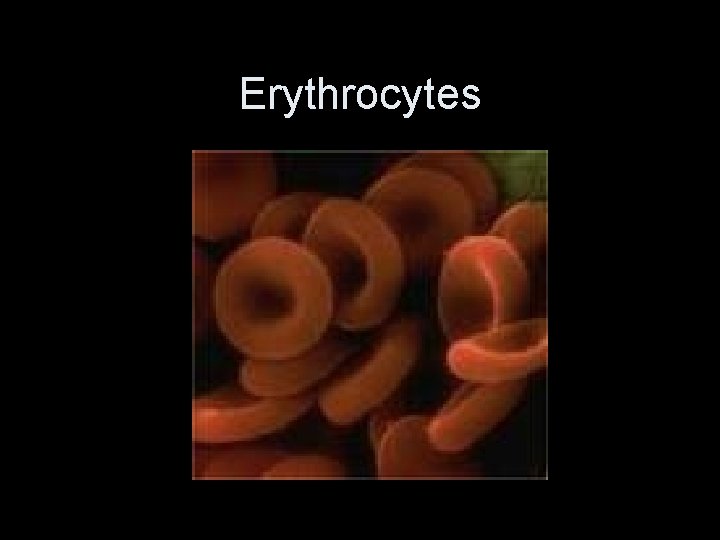 Erythrocytes 