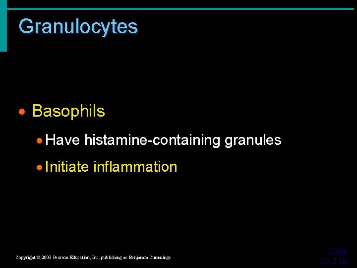 Granulocytes · Basophils · Have histamine-containing granules · Initiate inflammation Copyright © 2003 Pearson