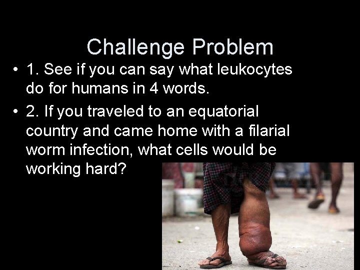 Challenge Problem • 1. See if you can say what leukocytes do for humans