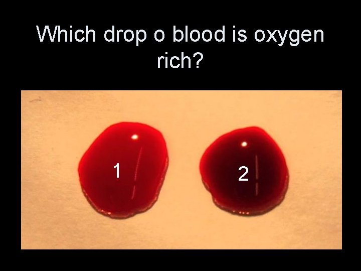 Which drop o blood is oxygen rich? 1 2 