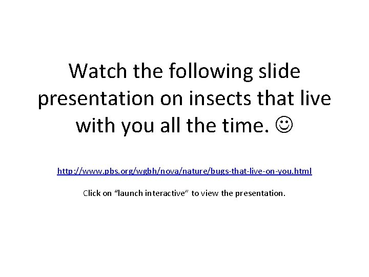 Watch the following slide presentation on insects that live with you all the time.