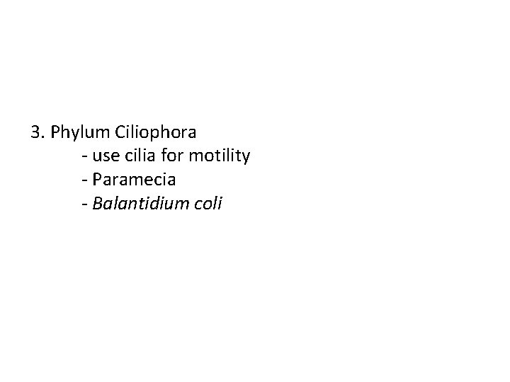 3. Phylum Ciliophora - use cilia for motility - Paramecia - Balantidium coli 