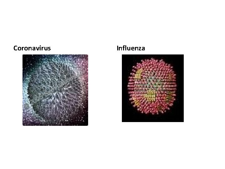 Coronavirus Influenza 