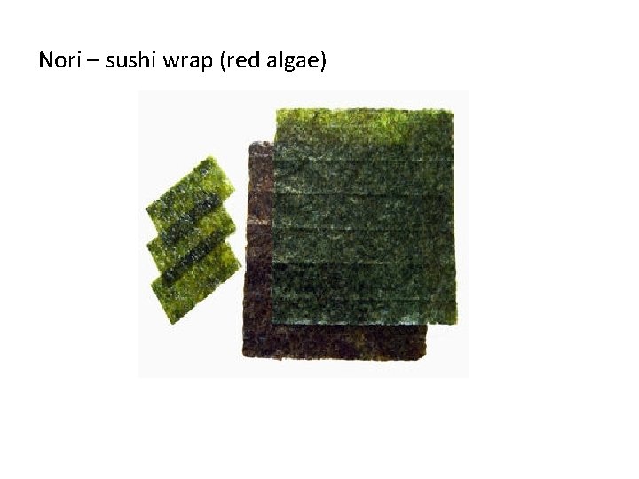 Nori – sushi wrap (red algae) 