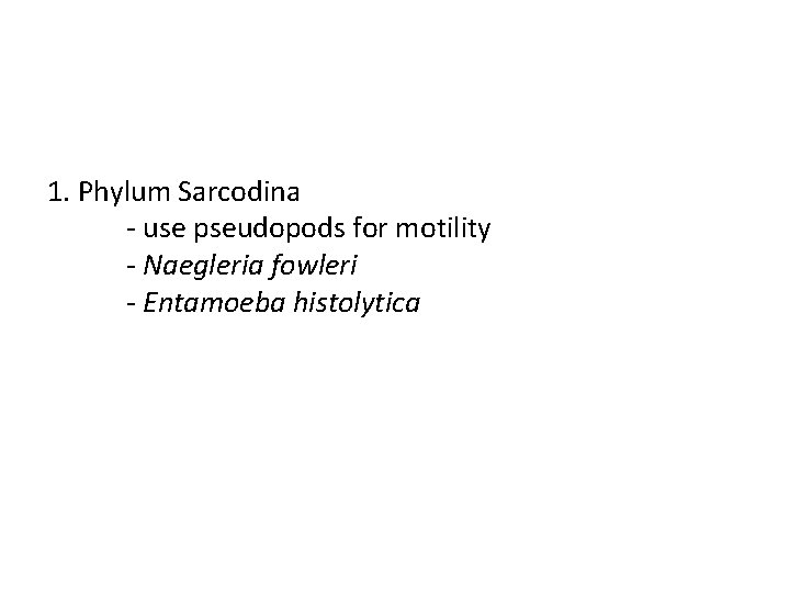 1. Phylum Sarcodina - use pseudopods for motility - Naegleria fowleri - Entamoeba histolytica