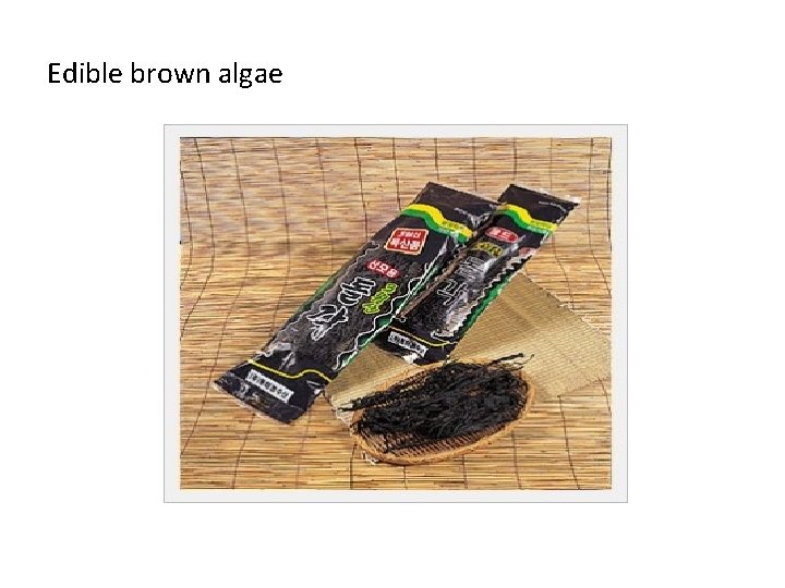 Edible brown algae 