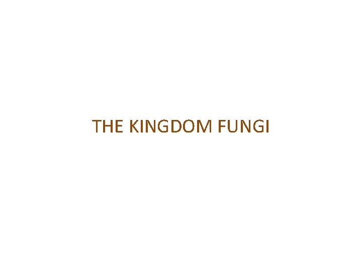 THE KINGDOM FUNGI 
