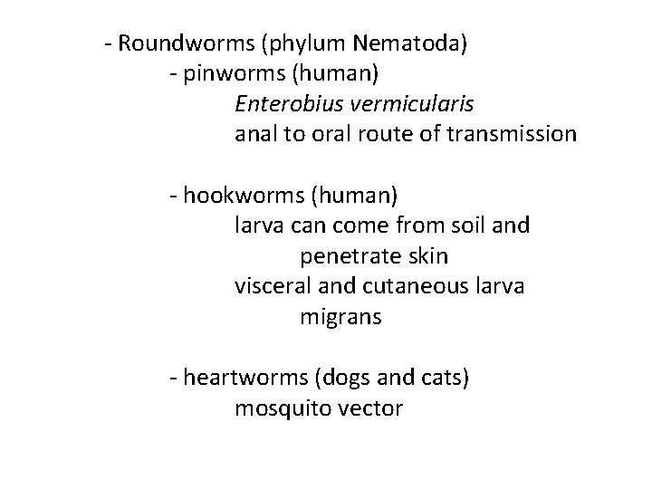 - Roundworms (phylum Nematoda) - pinworms (human) Enterobius vermicularis anal to oral route of