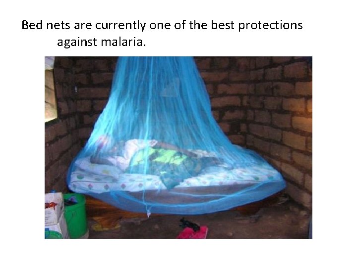 Bed nets are currently one of the best protections against malaria. 