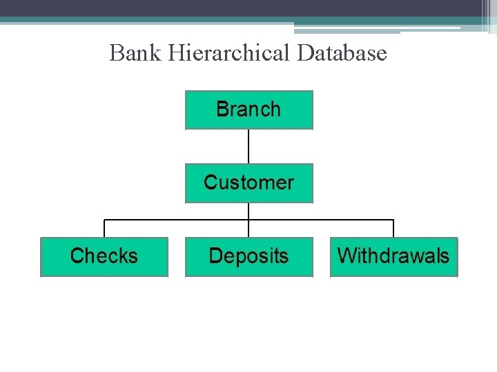 Bank Hierarchical Database 