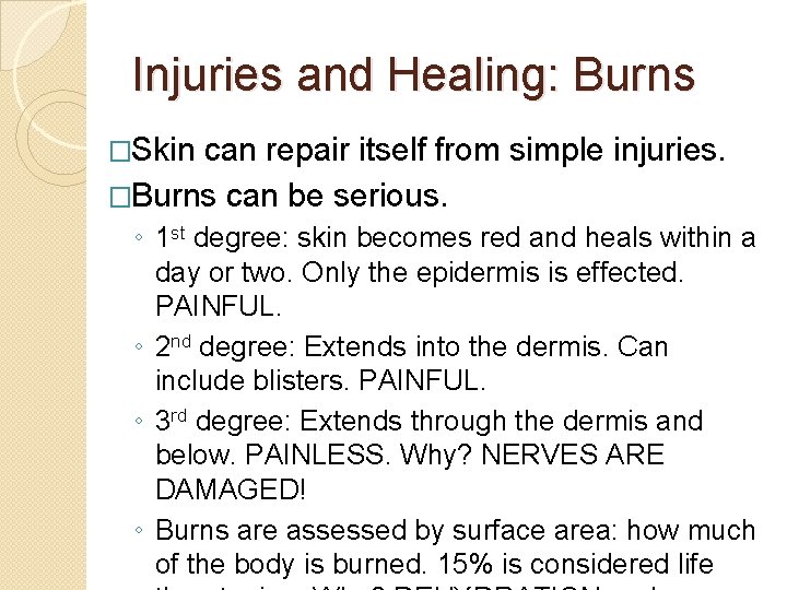 Injuries and Healing: Burns �Skin can repair itself from simple injuries. �Burns can be