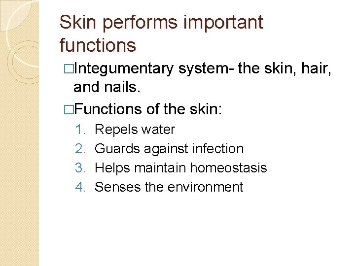 Skin performs important functions �Integumentary system- the skin, hair, and nails. �Functions of the