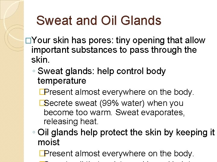 Sweat and Oil Glands �Your skin has pores: tiny opening that allow important substances