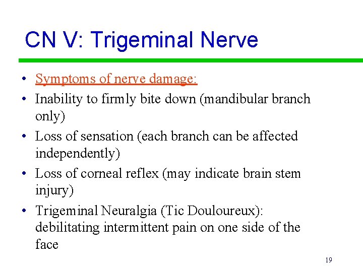 CN V: Trigeminal Nerve • Symptoms of nerve damage: • Inability to firmly bite