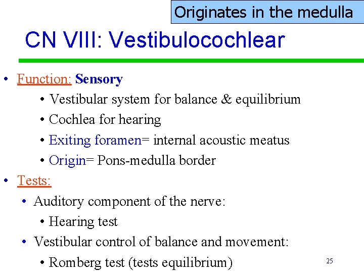Originates in the medulla CN VIII: Vestibulocochlear • Function: Sensory • Vestibular system for