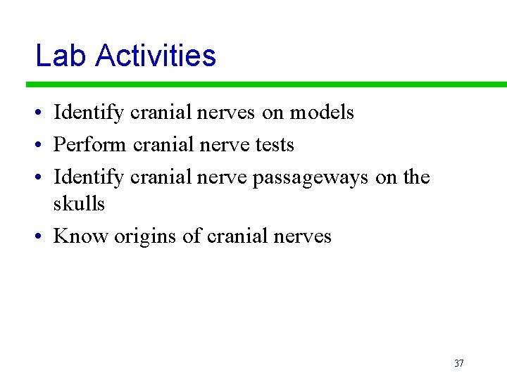 Lab Activities • Identify cranial nerves on models • Perform cranial nerve tests •