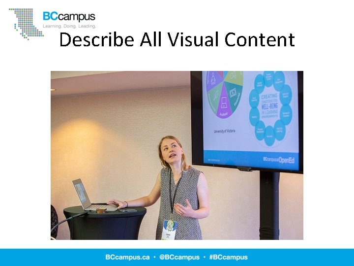 Describe All Visual Content 