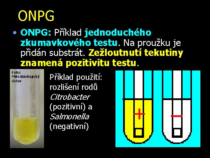 ONPG • ONPG: Příklad jednoduchého zkumavkového testu. Na proužku je přidán substrát. Zežloutnutí tekutiny