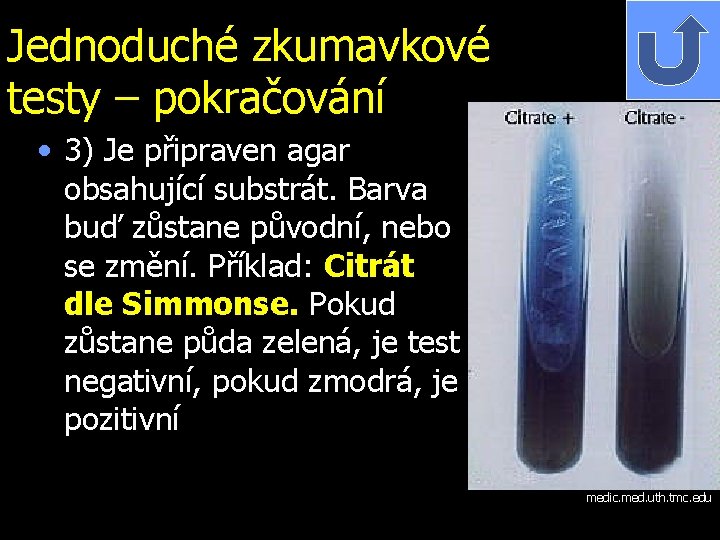 Jednoduché zkumavkové testy – pokračování • 3) Je připraven agar obsahující substrát. Barva buď