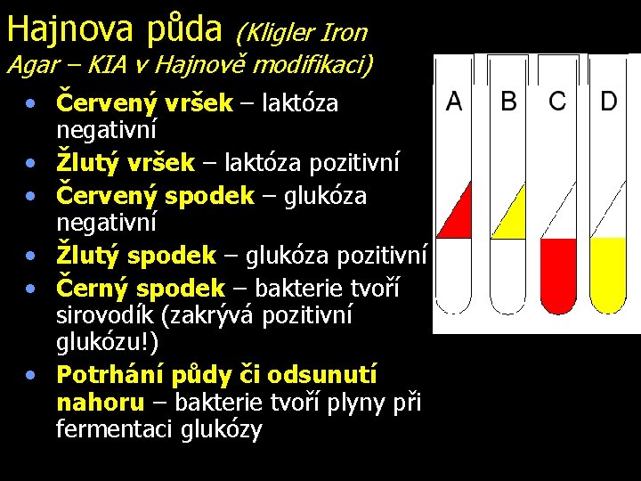 Hajnova půda (Kligler Iron Agar – KIA v Hajnově modifikaci) • Červený vršek –