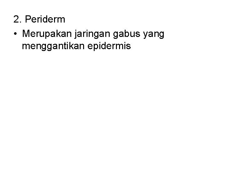 2. Periderm • Merupakan jaringan gabus yang menggantikan epidermis 