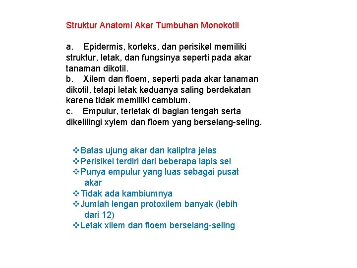 Struktur Anatomi Akar Tumbuhan Monokotil a. Epidermis, korteks, dan perisikel memiliki struktur, letak, dan