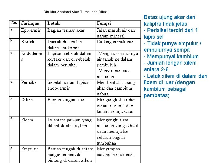 Struktur Anatomi Akar Tumbuhan Dikotil No. a. Jaringan Epidermis b. Korteks Letak Bagian terluar