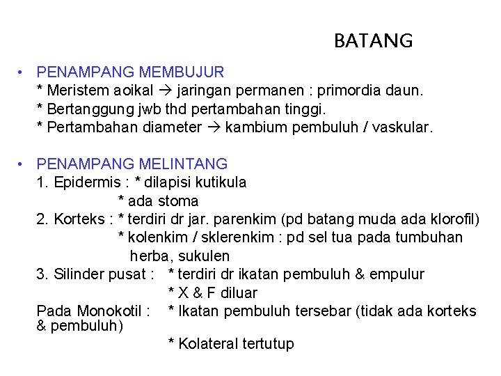 BATANG • PENAMPANG MEMBUJUR * Meristem aoikal jaringan permanen : primordia daun. * Bertanggung