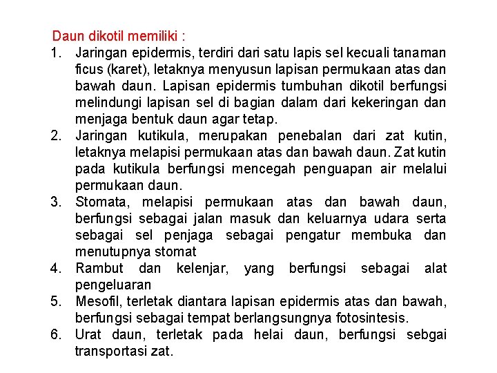 Daun dikotil memiliki : 1. Jaringan epidermis, terdiri dari satu lapis sel kecuali tanaman