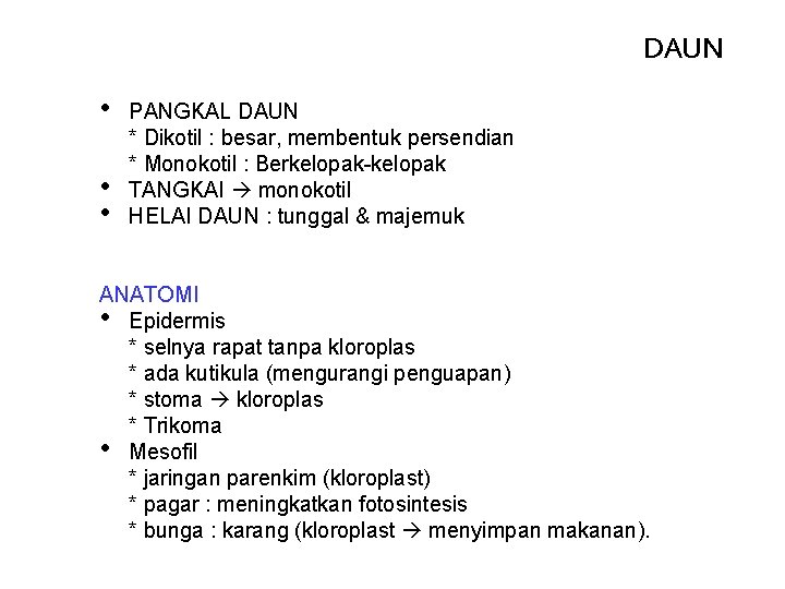 DAUN • • • PANGKAL DAUN * Dikotil : besar, membentuk persendian * Monokotil