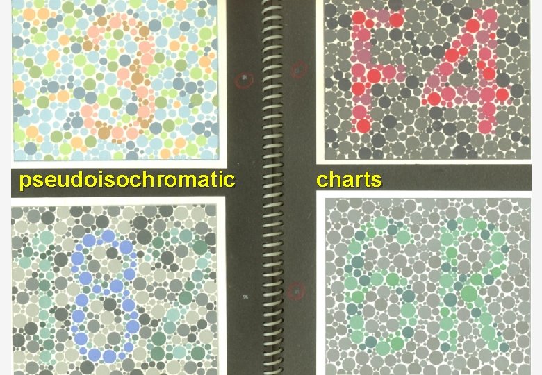 pseudoisochromatic charts 