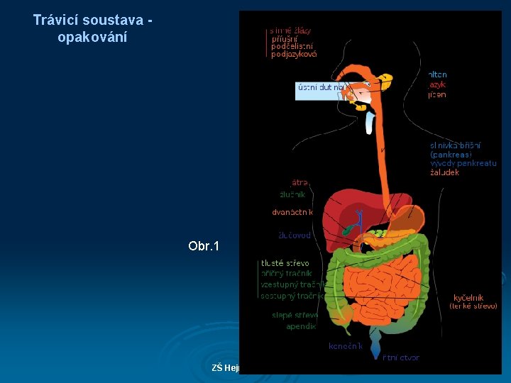 Trávicí soustava opakování Obr. 1 ZŠ Hejnice - M. Hradil 