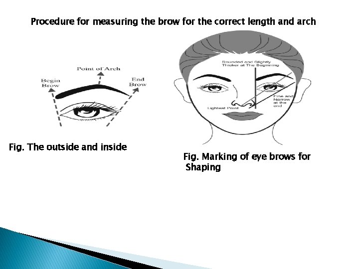 Procedure for measuring the brow for the correct length and arch Fig. The outside