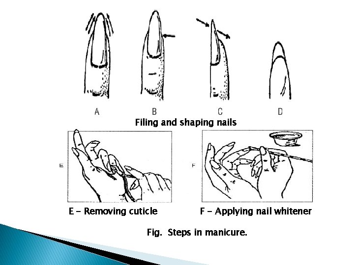 Filing and shaping nails E - Removing cuticle F - Applying nail whitener Fig.