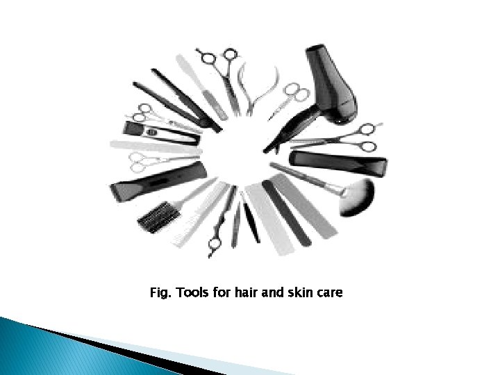 Fig. Tools for hair and skin care 