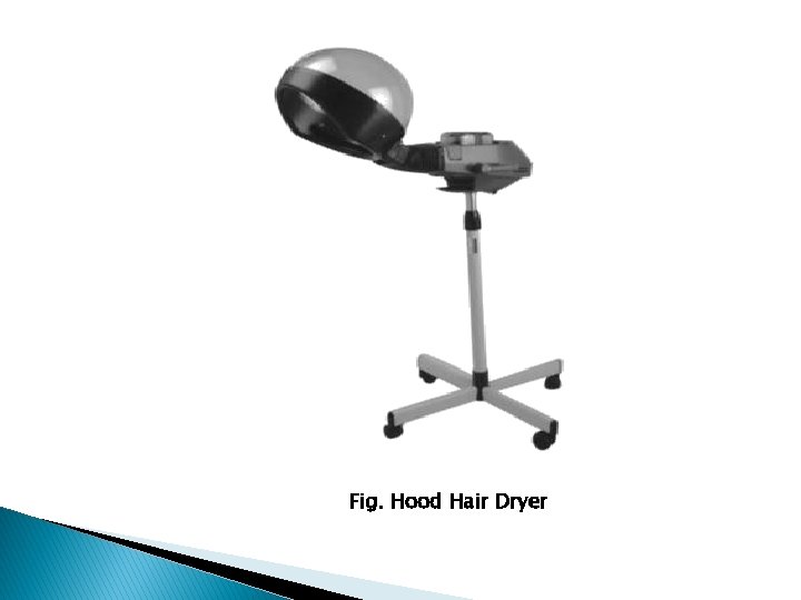 Fig. Hood Hair Dryer 