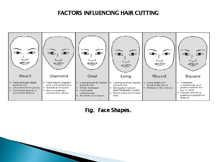 FACTORS INFLUENCING HAIR CUTTING Fig. Face Shapes. 