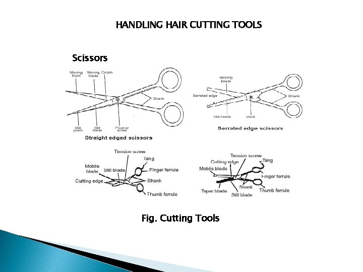 HANDLING HAIR CUTTING TOOLS Scissors Fig. Cutting Tools 