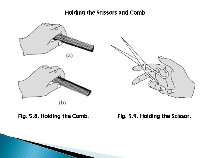 Holding the Scissors and Comb Fig. 5. 8. Holding the Comb. Fig. 5. 9.